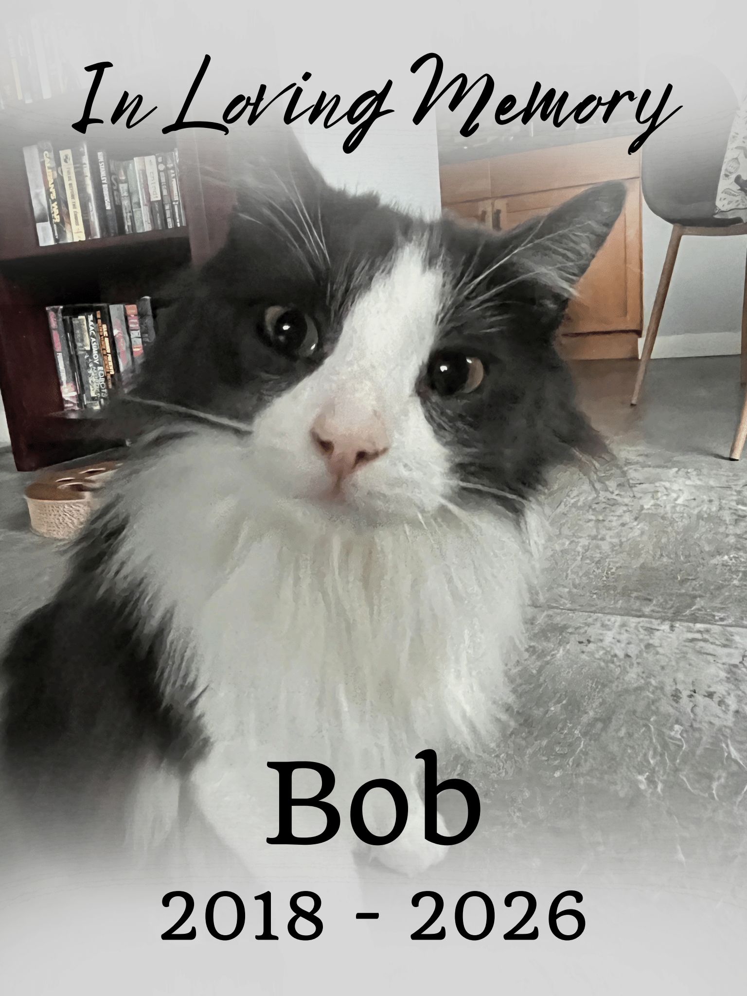 Bob